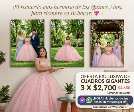 Paquete 4 de cuadros